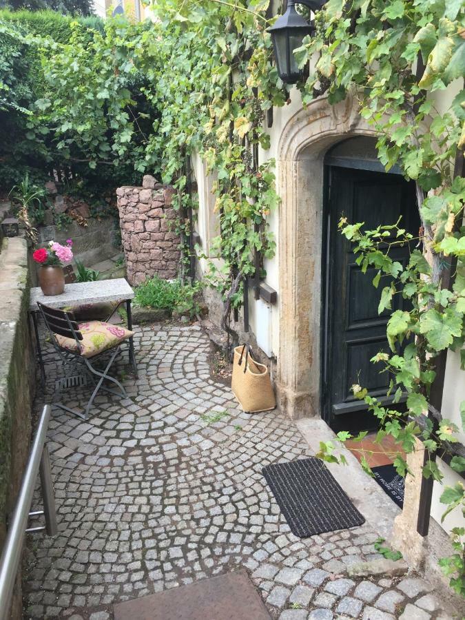 Ferienwohnung Am Weinberg Meißen Exterior foto